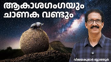ആകാശഗംഗയും ചാണകവണ്ടും തമ്മിലെന്ത്? Dung Beetles Navigate by the Milky Way #malayalam #facts #insect