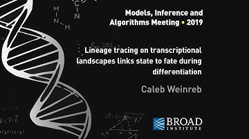 MIA: Allon Klein, Inference of high-dimensional dynamics; Caleb Weinreb, Single-cell lineage tracing