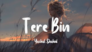 Tere Bin - OST Hum Kahan Ke Sachay Thay[Slowed + Reverb]