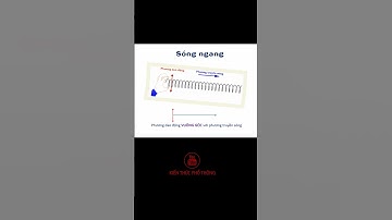 Sóng dọc, sóng ngang.