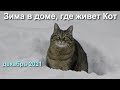 Зима в доме, где живет Кот (декабрь 2021) - Клип-Релакс  |  Winter in the house where the Cat lives