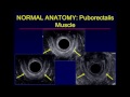 Ultrasound Examination of the Anal Sphincter