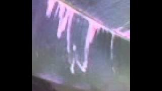 Keajaiban ALLAH SWT daun berlafadzkan 