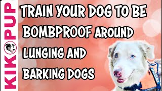 How to train your Service Dog to be bombproof to unexpected reactive dogs in stores