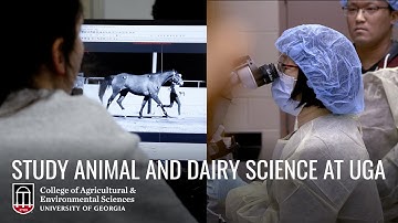 Study Animal and Dairy Science at the University of Georgia