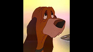 the best friend |"The.Fox.and.the.Hound" x "chamber of reflection (slowed - reverb) (read desc)"|