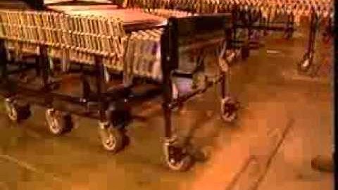 Best Flex Gravity Conveyors