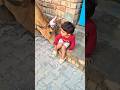 क्युट❤️ गौरी🙏#babycow #shortsfeed #calf #shortvideo #cow #ytshorts #cowvideos #shorts