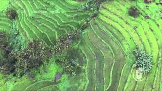 An Aerial view of the Fabled Antique Rice Terraces