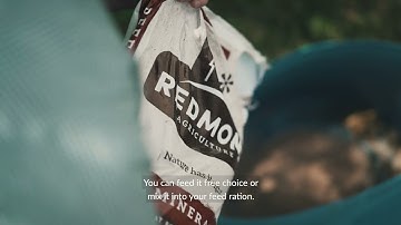 Redmond Agriculture Beef Mineral