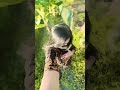 #song #newsong #funny #viral #foryou