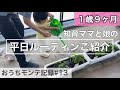 【1歳9ヶ月】知育ママと娘の平日ルーティン。共働き夫婦のドタバタ知育奮闘記🌈