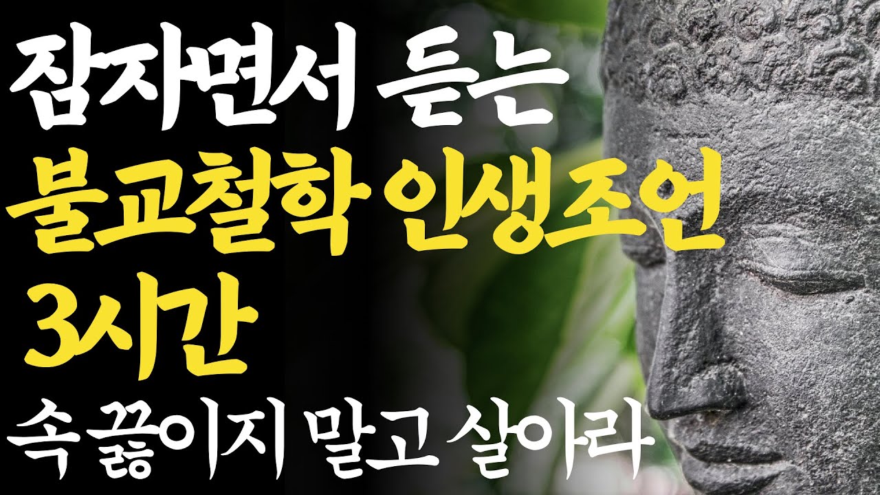 잠자면서 듣는 부처님 말씀 | 자면서 듣기만 하세요 | 마음이 편안해 지는 부처님 명언 | 잠자면서 듣는 석가모니 인생조언 모음 3시간 | 행복한 노후 #법륜스님즉문즉설