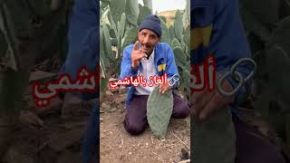 لغز صعيب مع بالهاشمي #اكسبلور #الصباره #اكسبلور #تيك_توك #كوميديات #rain #في #قصص #دويتو #حكايات