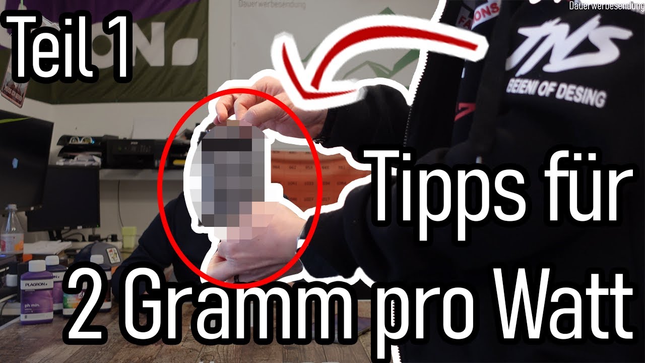 10+ Tipps und Tricks für 2 Gramm pro Watt Indoor mit Samen! - wie DU den Maximalen Ertrag rausholst!