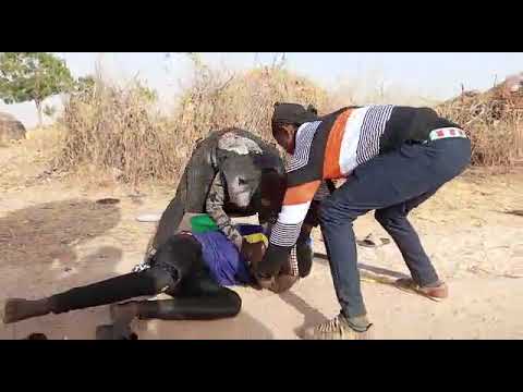 Yadda Ake Daukar Firm Din Surbajo Series Firms Season 4