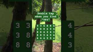 Observation Visual Test 5 Seconds For You To Spot 384. Try Your Skills