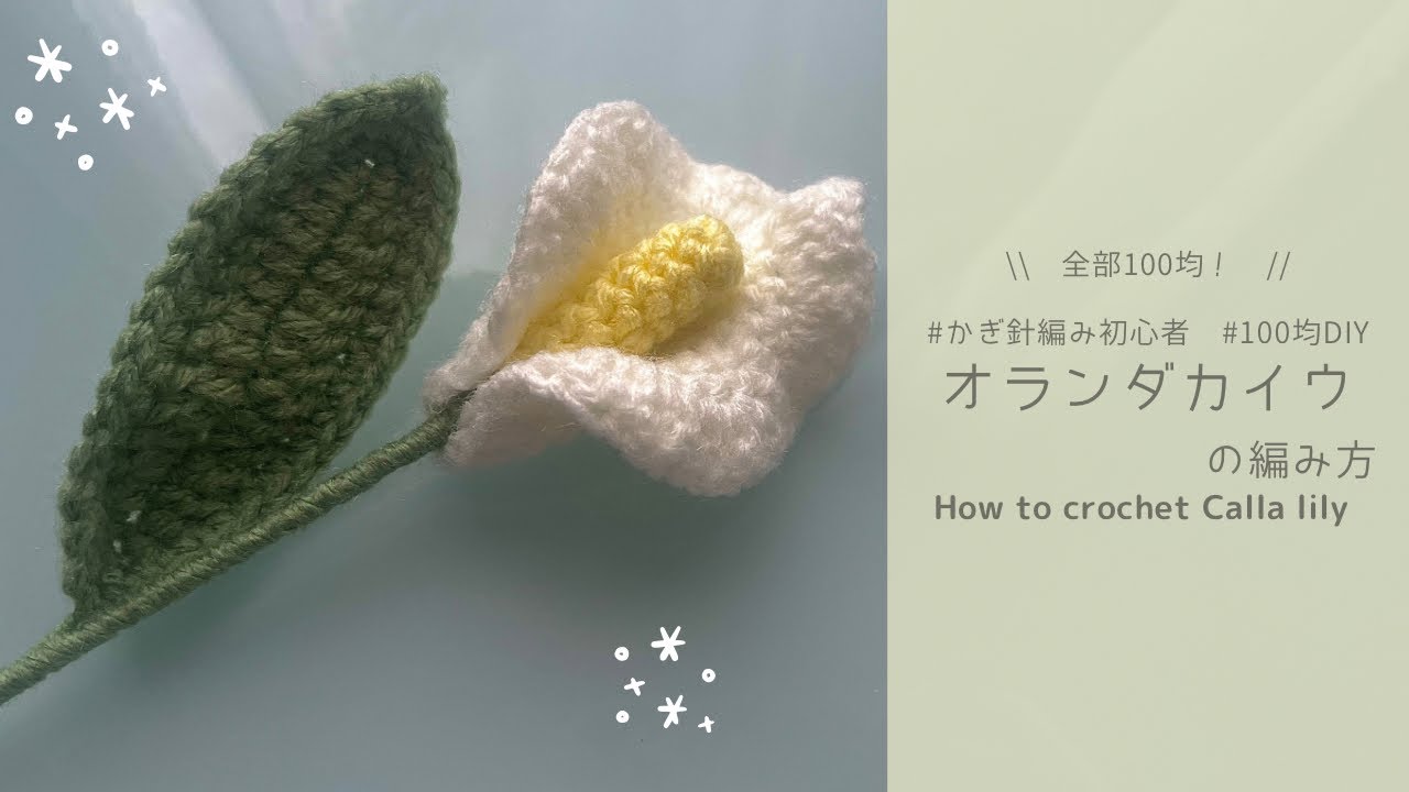 【かぎ針編み】オランダカイウの編み方｜編み図｜100均材料で作る毛糸のお花🤍