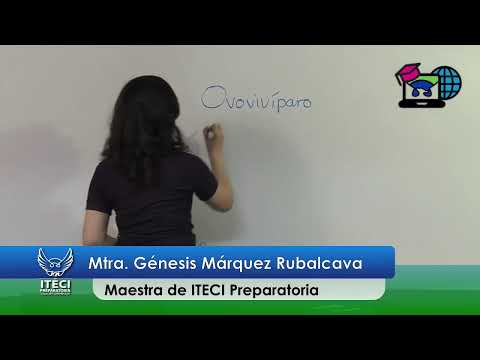 Talleres Academicos