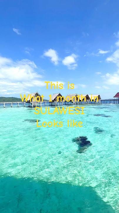 One month in Sulawesi, Indonesia #sulawesi #indonesia