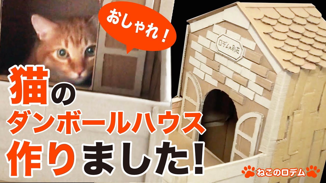 ねことdiy 猫のダンボールハウス作りました Youtube