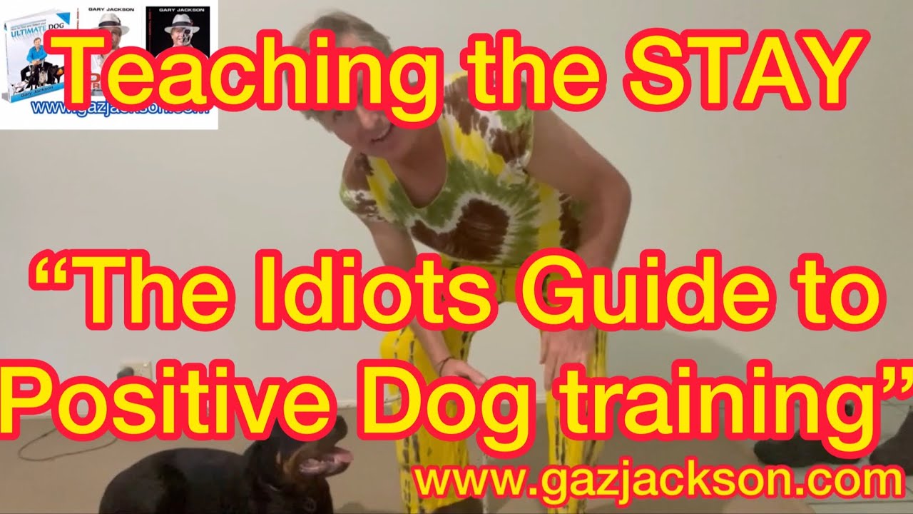 EP 130. Teaching the STAY “Idiots Guide to Positive Dog Training” I’M A