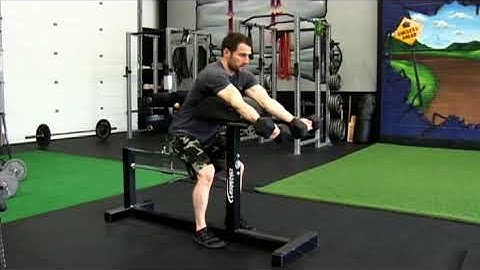 Zottman Preacher Curl