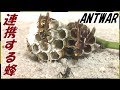 蟻戦争Ⅲ＃40 ハチの巣ごとアリに与えたら戦争が勃発した【前編】編～Beehive vs Ant's Nest～