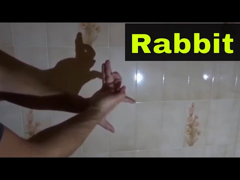 How To Make A Rabbit With Your Hand Shadow-Easy Tutorial