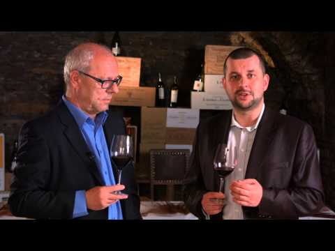 Video: Prozkoumávání francouzské vinařské oblasti Languedoc Roussillon