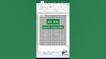 AutoFit Shortcut in Excel– No Dragging Needed #excel  #autofit  #exceltricks #ediary
