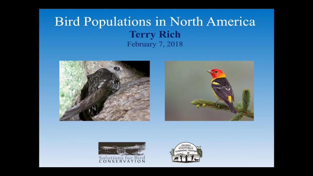 Landbird Population Sizes in North America