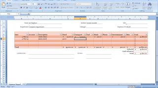 Celebrity Expenses Reports in Excel Profile