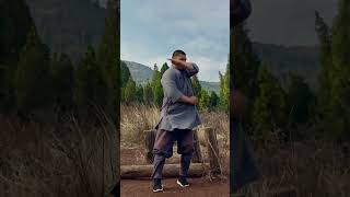 Shaolin Monk Training in the Mountains! #shaolin #kungfu #monk #martialarts #zen #warrior #training