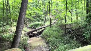 Fort Amanda and Hermon Woodlands Metro Park Lima Ohio