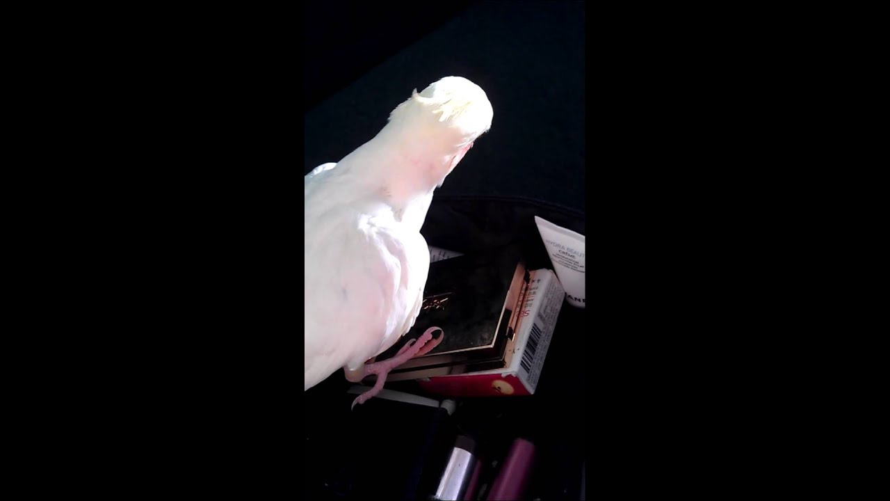 ������������