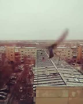 Сеничка - YouTube