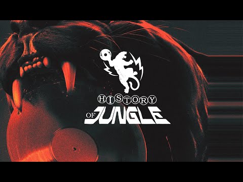 The History of Jungle - After Movie