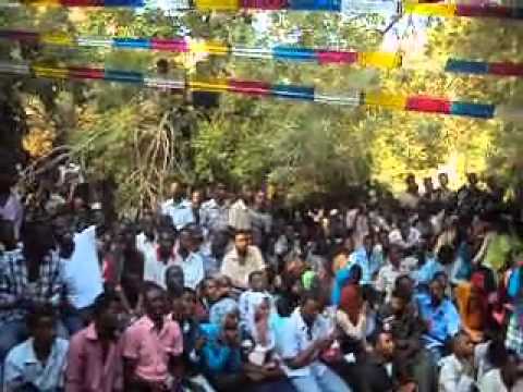 نادرخضر الماضي والحاضر حفلة