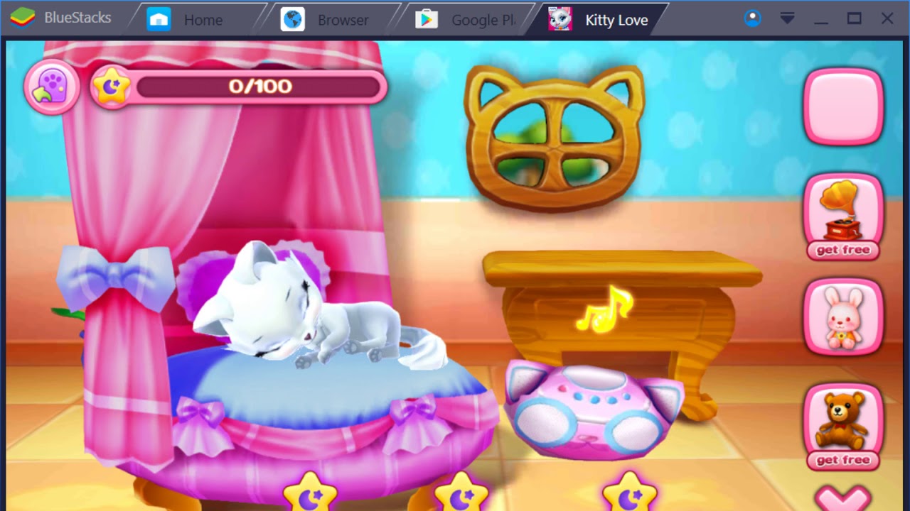 любовь котенка мой пушистик