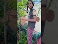 ma variki edina పని chepthe adi అమాసకో punnaniko chestharu atluntadi mari