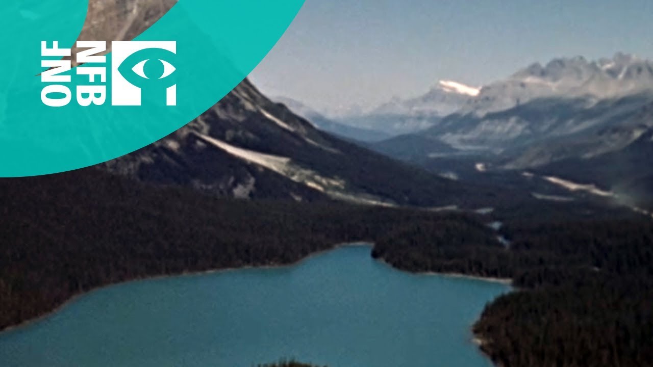Documentary backdrop image for Wildlife in the Rockies (2019)