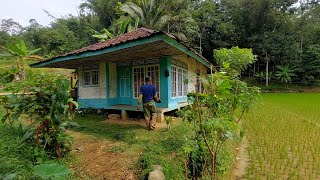 Begitu Sejuk Udara di Kampung, Rumah Tengah Sawah Bikin Betah