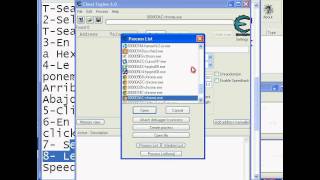 Hack del Dragon en Wild Ones con TSearch 2011