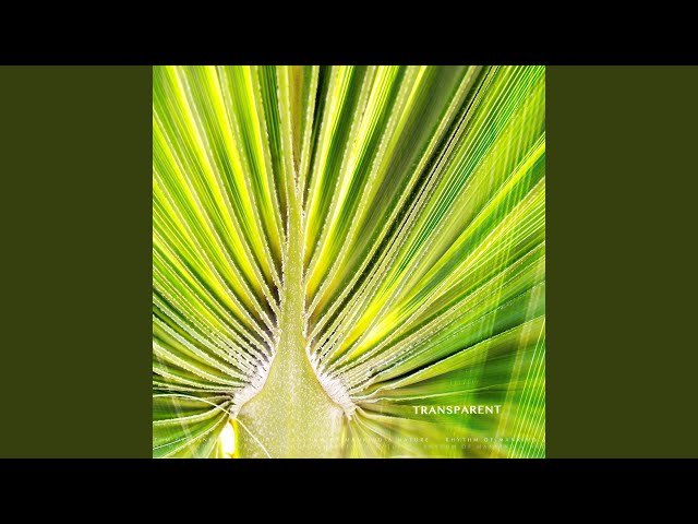 Roman Pavlov - Whisper of leaves