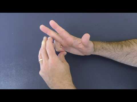 Finger &amp; Upper Extremity Stretches for Musicians