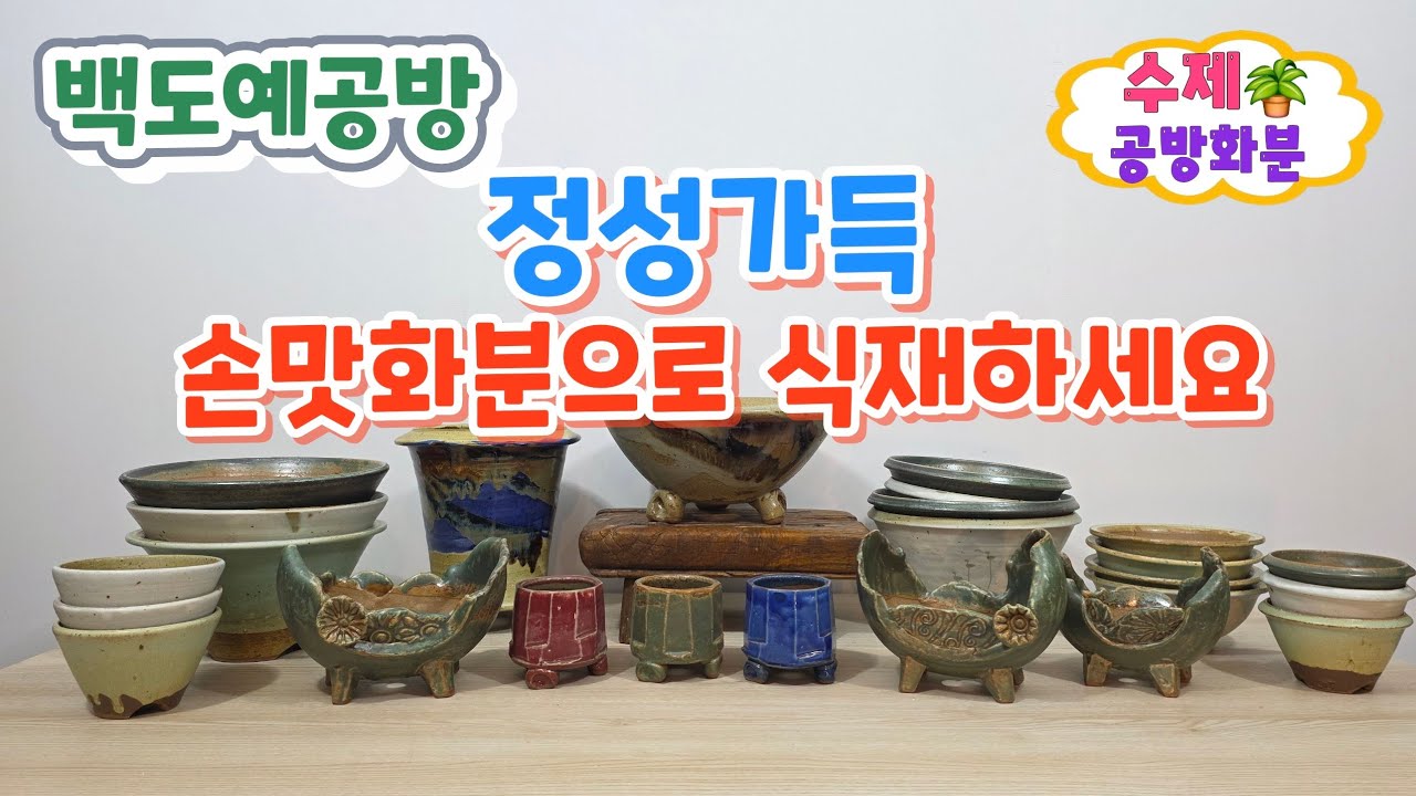 20260225(280회 영상)여러분의 초록이를 주인공으로 만들어 주세요🤗🪴#수제화분#공방화분#야생화화분#다육화분#아프리카식물#분갈이#식재#분갈이화분#연출화분#선인장#도자기공방