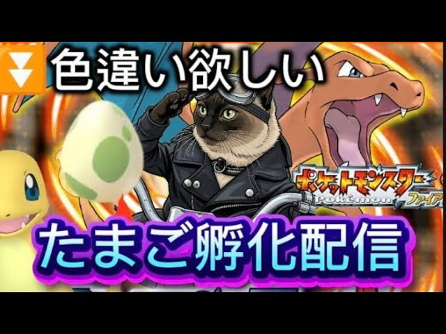 初見さん歓迎【ゲーム実況】ポケモンPokemonヒトカゲ色違いたまご孵化厳選配信