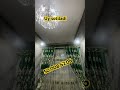 Dj Remix Music Song Uzbekmusic Youtube Shortvideo Yangiliklar Olot Buxoro Jondor Mp3 Dj Remix Music Song Uzbekmusic Youtube Shortvideo Yangiliklar Olot Buxoro Jondor Mp3