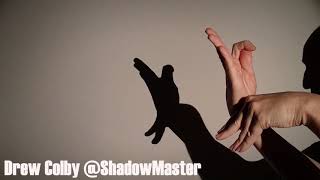 Bird on a Branch Hand Shadow Tutorial